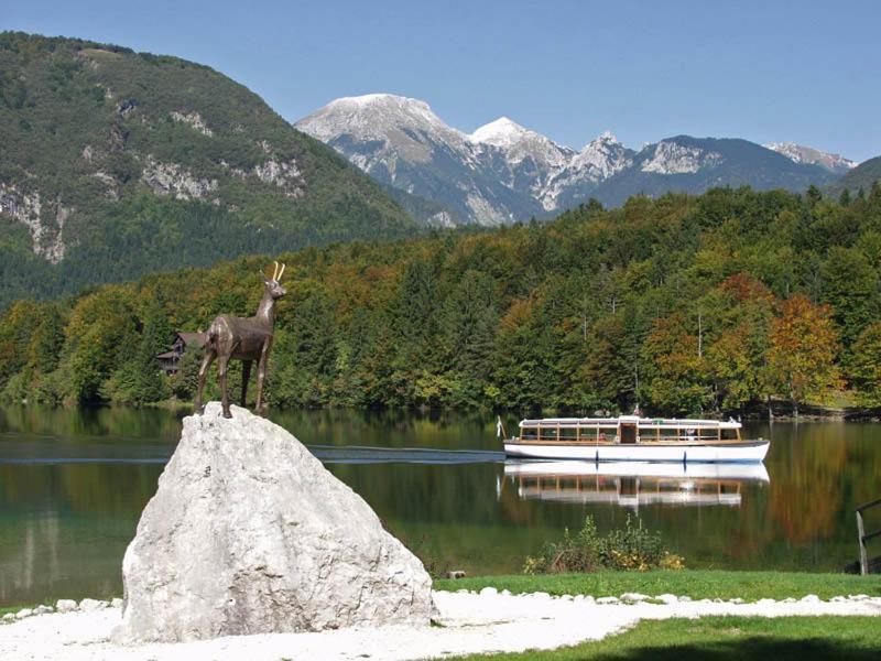 Apartments Zdovc Bohinjska Bistrica Екстериор снимка